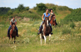 riding-horses-tauber-vally-germany jahanje